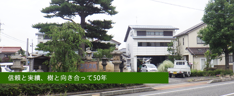 信頼と実績、樹と向き合って50年