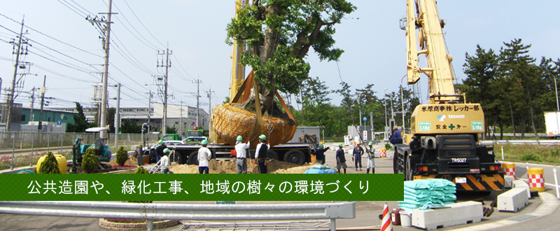 公共造園や、緑化工事、地域の樹々の環境づくり