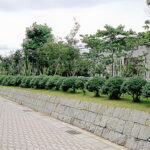 石川県立小松短期大学