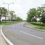 小松空港街路樹