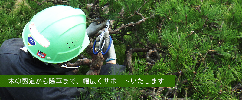 木の剪定から除草まで、幅広くサポートいたします