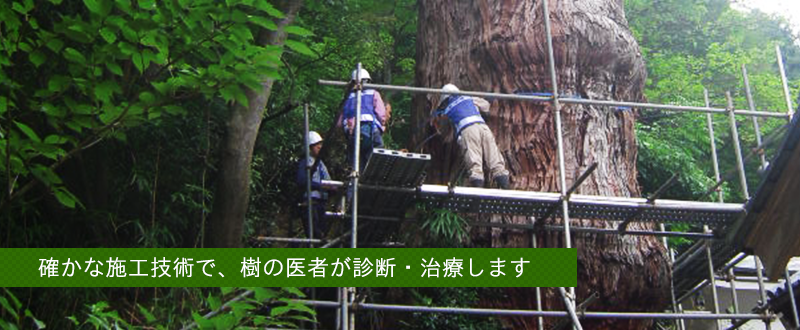 確かな施工技術で、樹の医者が診断・治療します
